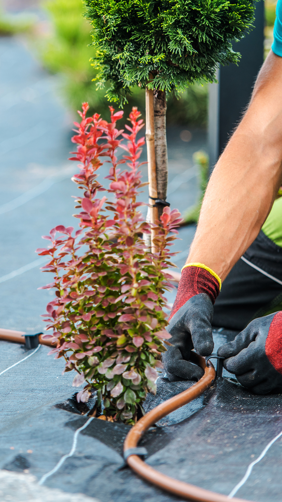 Watermatic Irrigation Installation Services